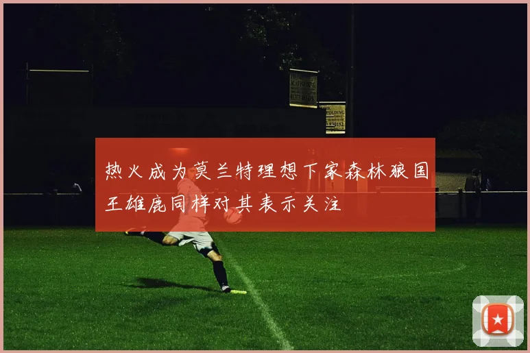 热火成为莫兰特理想下家森林狼国王雄鹿同样对其表示关注